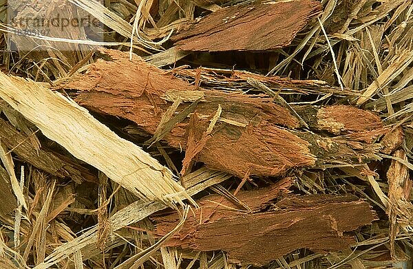 Naturheilmittel: Neem  Niembaum  Rinde  Pflanzenteile finden Verwendung in Medizin und Landwirtschaft  Medizin des Ayurveda