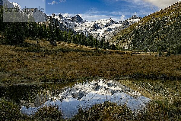 Val Rosegg mit Bernina Gruppe  St Moritz  Engadin  Graubünden  Schweiz  Europa