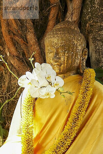 Buddha-Statue  Dorf Ubud  Bali  Indonesien  Asien