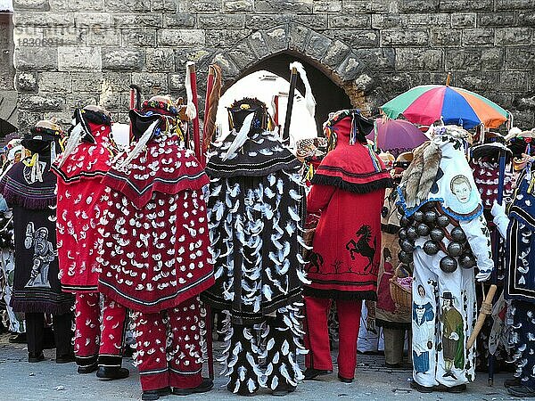 Federahannes  Rottweiler Narrensprung  Umzug der schwäbisch-alemannischen Fasnet in Rottweil  Baden-Württemberg  Deutschland  Europa