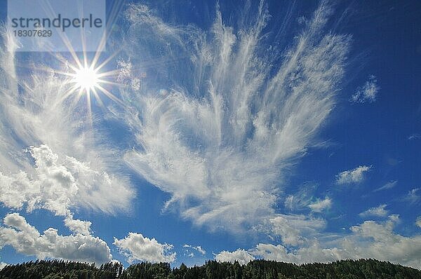 Gegenlichtaufnahme mit Sonnenstern am Himmel über dem Allgäu  Bayern  Deutschland  Europa