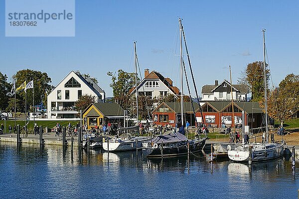 Boote im Hafen  Niendorf Ostsee  Timmendorfer Strand  Schleswig-Holstein  Deutschland  Europa