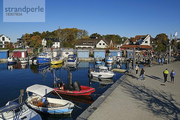 Boote im Hafen  Niendorf Ostsee  Timmendorfer Strand  Schleswig-Holstein  Deutschland  Europa