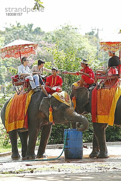 Thailändische Männer reiten auf Elefanten  Ayutthaya  Provinz Ayutthaya  Thailand  Asien