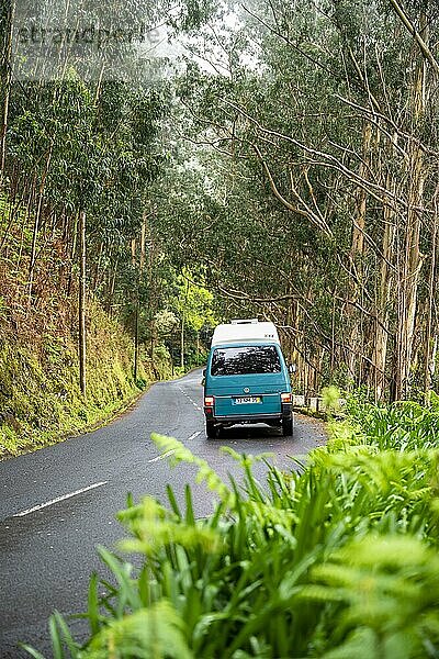 VW-Bus auf einer Straße im Wald  Madeira  Portugal  Europa