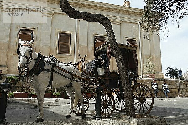 Pferdekutsche an den Upper Barrakka Gardens  Valletta  Malta  Maltesische Inseln  Europa
