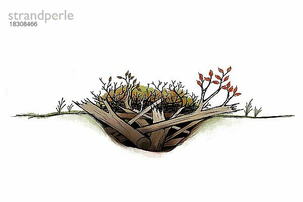 Realistische Illustration Querschnitt Totholzhaufen  ökologisch wertvoller Lebensraum zur Steigerung der Biodiversität im Naturgarten  freigestellt