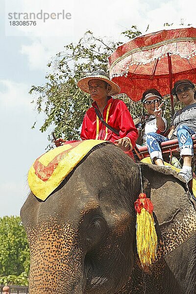Thailändische Frauen reiten auf einem Elefanten  Ayutthaya  Provinz Ayutthaya  Thailand  Asien