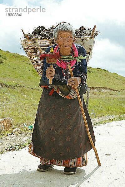 Alte Tibeterin mit Gebetsmühle in der Hand und Yakdung Korb auf dem Rücken  Langmusi  Provinz Gansu  China  Asien