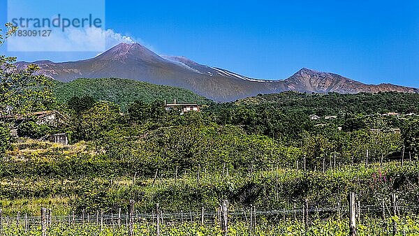 Fruchtbare Umgabung vor Aetna mit vier Gipfelkratern ist mit 3357 Metern der hoechste aktive Vulkan Europas  Aetna  Sizilien  Italien  Europa