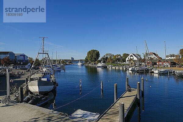 Botte und Steg im Hafen  Niendorf Ostsee  Timmendorfer Strand  Schleswig-Holstein  Deutschland  Europa