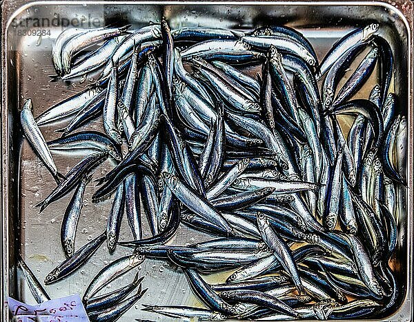 Historischer Fischmarkt La pescheria mit einer Fuelle bunter Meerestiere  Catania  Catania  Sizilien  Italien  Europa