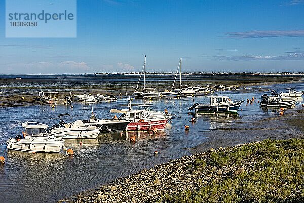 Sportboote und Fischerboote in Loix  Île de Ré  Nouvelle-Aquitaine  Aquitanien  Frankreich  Europa