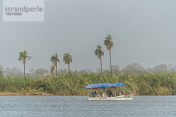 Fähre Kunta Kinteh über den Gambia River in Kuntaur  Gambia  Westafrika  Afrika
