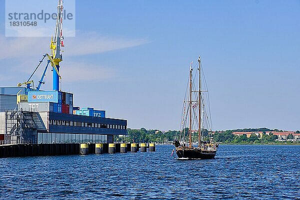 Das Segeschulschiff  der Stagsegelschoner QUALLE läuft in den Alten Hafen ein  Hansestadt Wismar  Mecklenburg  Vorpommern  Deutschland  Europa