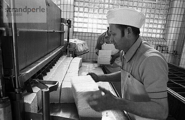 Kaeseproduktion bei der Fa. Westmilch am 22.05.1980 in Extertal bei Herford  Deutschland  Europa