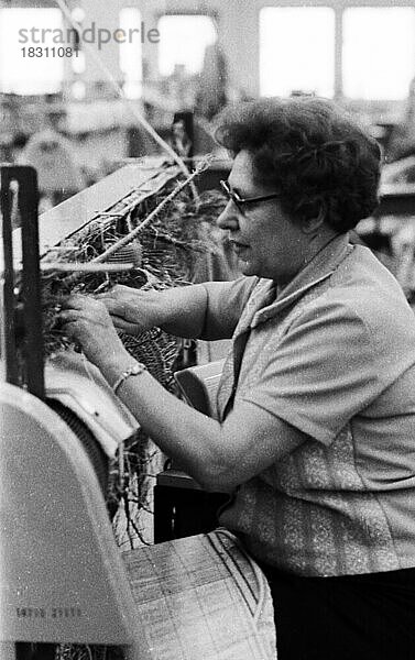 Viele Frauen und wenige Maenner arbeiten bei Standard Elektrik Lorenz (SEL)  hier im Jahre 1970 in Dortmund  an Arbeitsplaetzen. Unbekannt ist die L  Deutschland  Europa