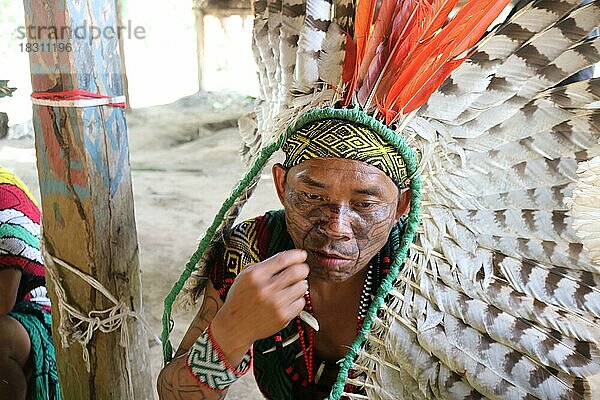 Indigenes Volk  Anführer einer Gemeinde der Ureinwohner Huni Kuin trägt einen großen Kopfschmuck aus Vogelfedern  Gesichtsbemalung und traditionellen Schmuck  Amazonas-Regenwald  Acre  Brasilien  Südamerika