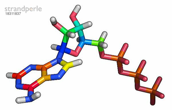 Adenosintriphosphat-Molekül  ATP transportiert chemische Energie innerhalb der Zellen für den Stoffwechsel
