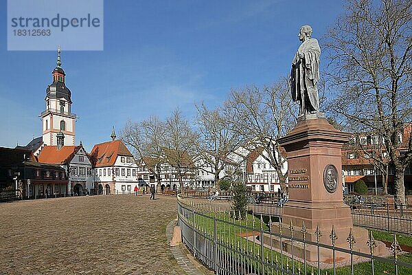 Marktplatz mit Graf-Franz-Denkmal  Rathaus und Stadtkirche  Turm  Erbach  Hessen  Odenwald  Deutschland  Europa