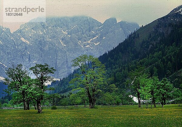 AUT  Österreich  Karwendel: Der Achensee  die Leutasch und insbesondere der Grosse Ahornboden sind sehenswerte Naturschutzgebiete im Karwendel  hier am 17.5.1992  dort lohnt sich ein Besuch immer. Großer Ahornboden  Europa