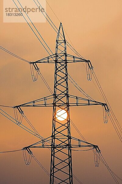 Untergehende Sonne hinter Silhouette von Hochspannungsleitungs-Strommasten  inmitten von Nebel oranges Licht gehüllt  Kanton Zürich  Schweiz  Europa