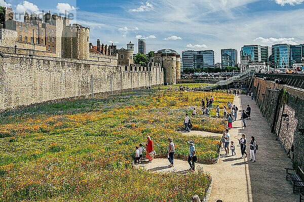 Blumenrabatten in den Wallanlagen am Tower of London  London  City of London  England  United Kingdom  Großbritannien  Europa