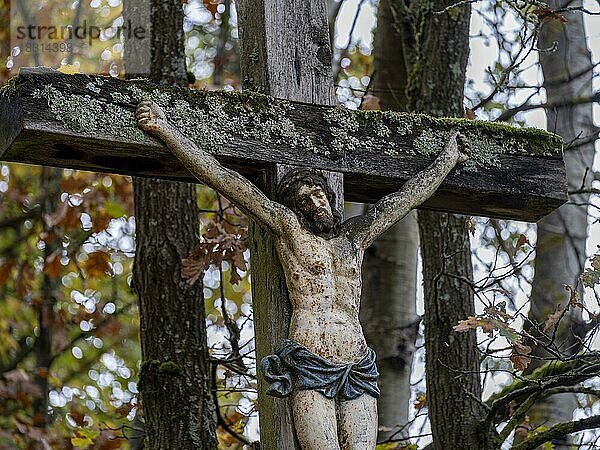 Verwitterter Kruzifix mit Flechten am Holzkreuz an einem Forstweg im Wald in der Rhön  Oberelsbach  Bayern  Deutschland  Europa
