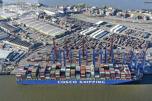 Container Terminal Tollerort mit einem Cosco Containerschiff  Hamburg  Deutschland  Europa