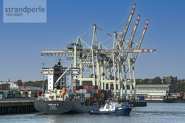 Containerterminal Tollerort mit Feeder Schiff und Schlepper  Elbe  Hansestadt  Hafen  Seehafen  Wirtschaft  Logistik  Transport  Hamburg  Deutschland  Europa