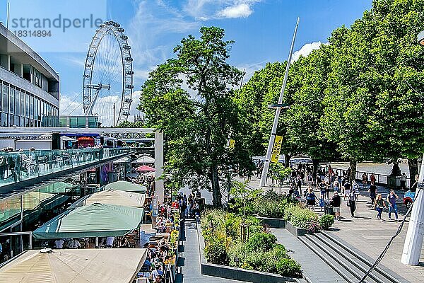 Uferpromenade an der Themse mit Straßencafé und Riesenrad London Eye  London  City of London  England  United Kingdom  Großbritannien  Europa