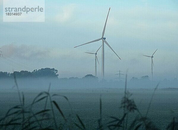 Windkraft-Anlagen und der Mast einer Hochspannungsleitung im frühmorgendlichen Nebel. Ochsenwerder  Hamburg  Deutschland  Europa