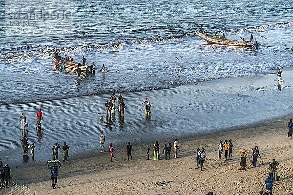 Ankunft der Fischer am Strand vom Fischmarkt in Bakau  Gambia  Westafrika  Afrika