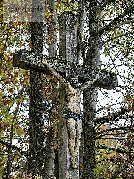 Verwitterter Kruzifix mit Flechten am Holzkreuz an einem Forstweg im Wald in der Rhön  Oberelsbach  Bayern  Deutschland  Europa
