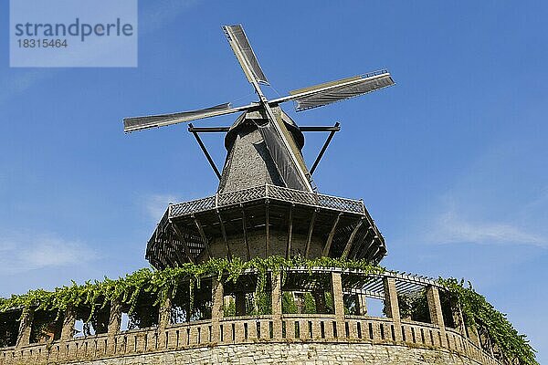 Historische Windmühle im Park Sanssouci  Potsdam  Brandenburg  Deutschland  Europa