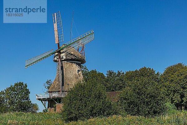 Halb verfallene Windmühle Minsen  Ostfriesland  Niedersachsen  Deutschland  Europa