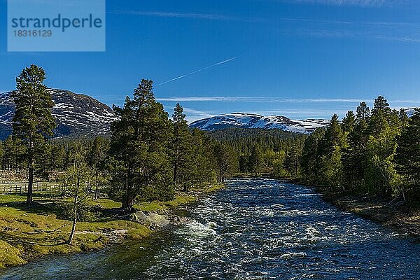 Fluss und Bergpanorama im Gudbrandsdalen  Norwegen  Europa