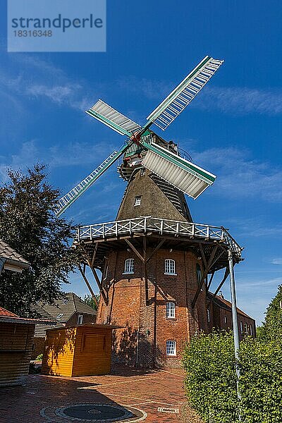 Galeriewindmühle in Wiegboldsur  Ostfriesland  Niedersachsen  Deutschland  Europa