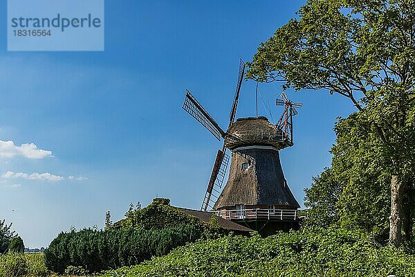 Halb verfallene Windmühle Minsen  Ostfriesland  Niedersachsen  Deutschland  Europa