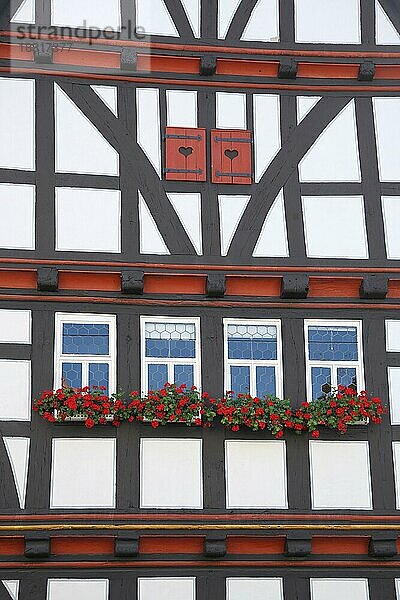 Idyllische Hauswand mit Fensterläden und Blumendekoration vom historischen Rathaus  Idylle  Fensterladen  herzförmig  Schotten  Vogelsberg  Hessen  Deutschland  Europa