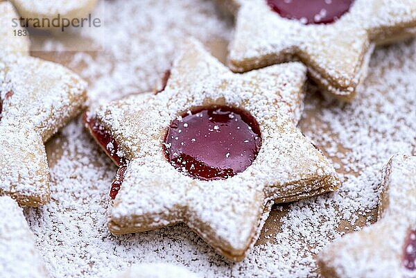 Frisch gebackene Spitzbuben in Form von Stern  Füllung aus Marmelade  mit Puderzucker bestreut  Plätzchen  Weihnachtsplätzchen  Weihnachtsgebäck  Deutschland  Europa