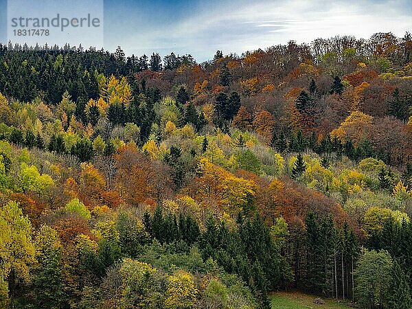 Herbstwald in der Rhön  Mischwald  Gersfeld (Rhön)  Hessen  Deutschland  Europa