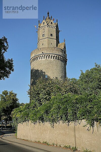 Historischer Runder Turm und Wahrzeichen  Andernach  Rheinland-Pfalz  Oberes Mittelrheintal  Deutschland  Europa