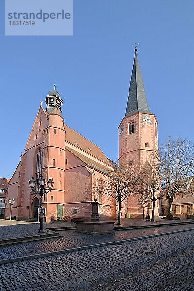 Spätgotische Stadtkirche in Michelstadt im Odenwald  Hessen  Deutschland  Europa