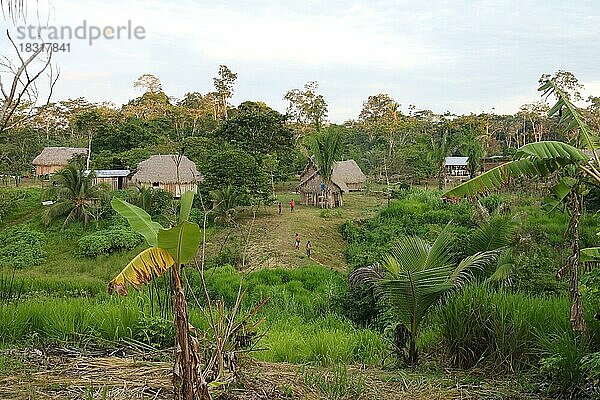 Indigenes Volk  Blick auf die traditionellen Häuser mit Dächern aus Stroh im Dorf der Ureinwohner Huni Kuin im Amazonas-Regenwald  Acre  Brasilien  Südamerika