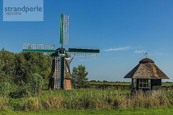 Alte Windmühle in Südbrookmerland  Ostfriesland  Niedersachsen  Deutschland  Europa