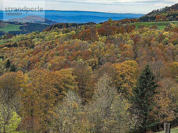 Herbstwald in der Rhön  Mischwald  Gersfeld (Rhön)  Hessen  Deutschland  Europa