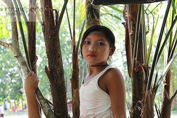 Indigenes Volk  Mädchen der Ureinwohner Huni Kuni steht vor einem Baum im Amazonas-Regenwald  Acre  Brasilien  Südamerika