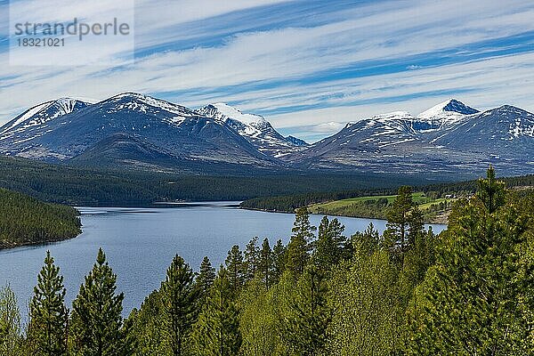 Bergpanorama am Rondane Turistvej  Norwegen  Europa