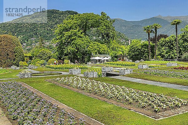 Botanische Gärten der Villa Taranto  Verbania  Lago Maggiore  Piemont  Italien  Europa